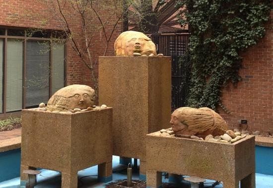 Vanderbilt Üniversitesi